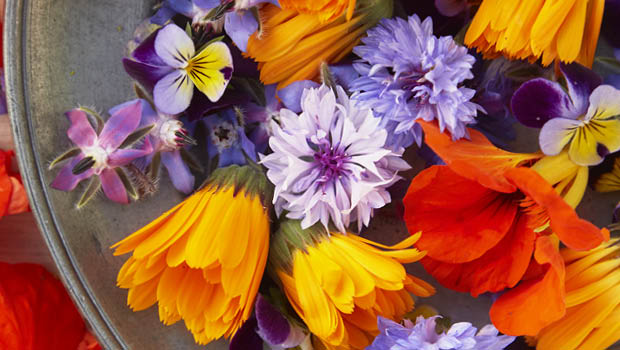 From garden to plate – borage, heartsease, calendula, nasturtiums, dill and cornflowers.